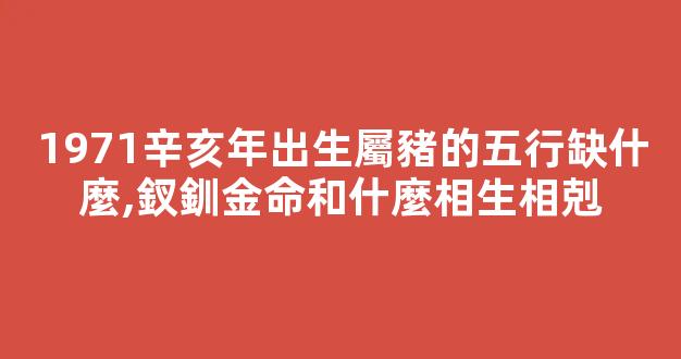 1971辛亥年出生屬豬的五行缺什麼,釵釧金命和什麼相生相剋