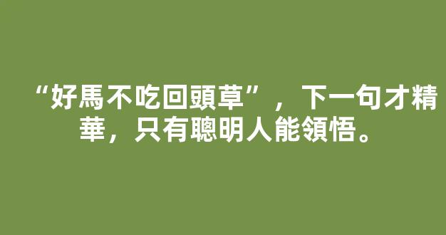 “好馬不吃回頭草”，下一句才精華，只有聰明人能領悟。