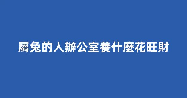 屬兔的人辦公室養什麼花旺財