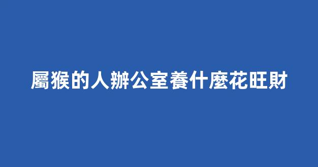 屬猴的人辦公室養什麼花旺財