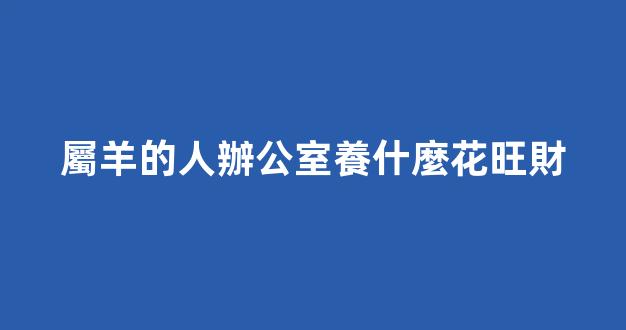 屬羊的人辦公室養什麼花旺財