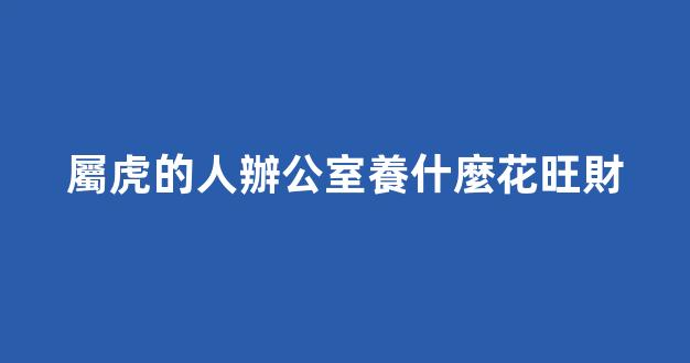 屬虎的人辦公室養什麼花旺財