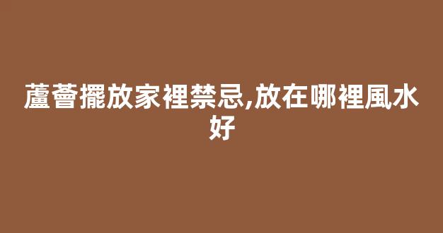 蘆薈擺放家裡禁忌,放在哪裡風水好