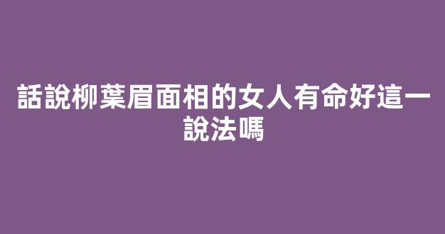 話說柳葉眉面相的女人有命好這一說法嗎