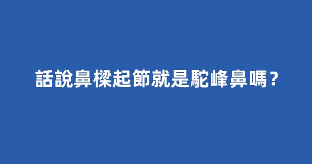 話說鼻樑起節就是駝峰鼻嗎？