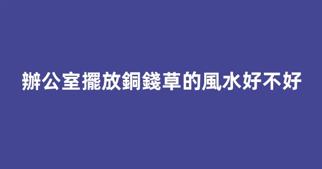 辦公室擺放銅錢草的風水好不好