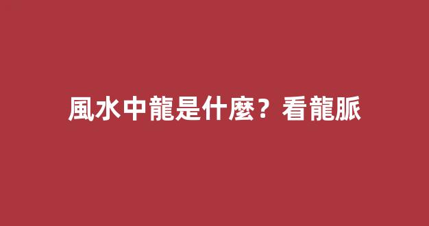 風水中龍是什麼？看龍脈