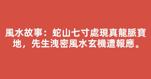 風水故事：蛇山七寸處現真龍脈寶地，先生洩密風水玄機遭報應。