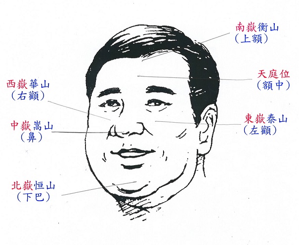 教你怎么看手相，是看左手还是右手？
