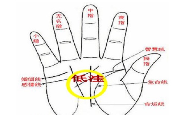 手相学大全解析，从感情线看女人爱情观