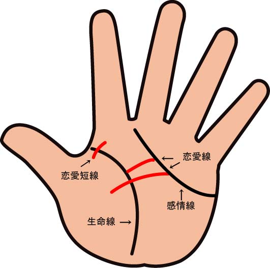 假断掌手相图解，一不小心就会看错