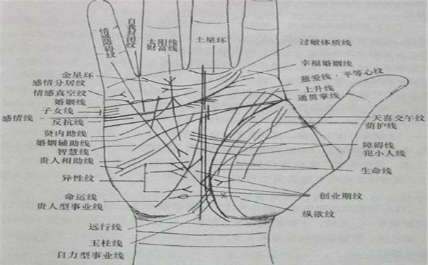 手纹多并且杂乱的人心思重