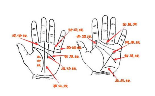 婚姻線看左手還是右手