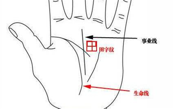 掌紋有田字