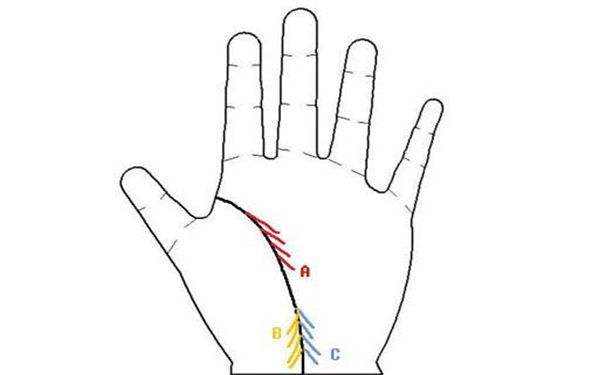 女人旺夫的手相
