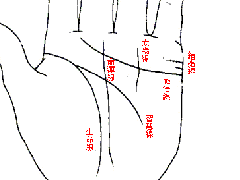 如何知道自己是不是健康呢？从手相中知晓自己