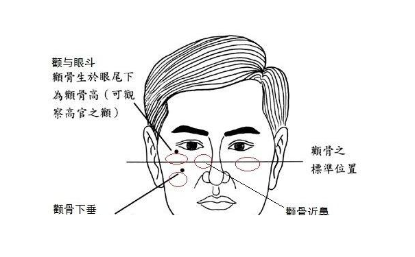 面相学分析中指出找合作伙伴应该找拥有这样面