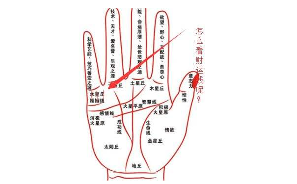 财运线是哪一条？财运线短好还是长好？