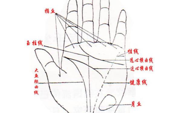 没有财运线的人生活运势怎么样你知道吗？