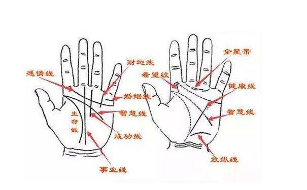 财运线是哪一条？财运线断断续续好吗？
