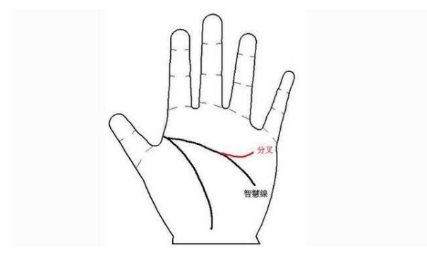 财运好的人他们的财运线会是怎么样呢？