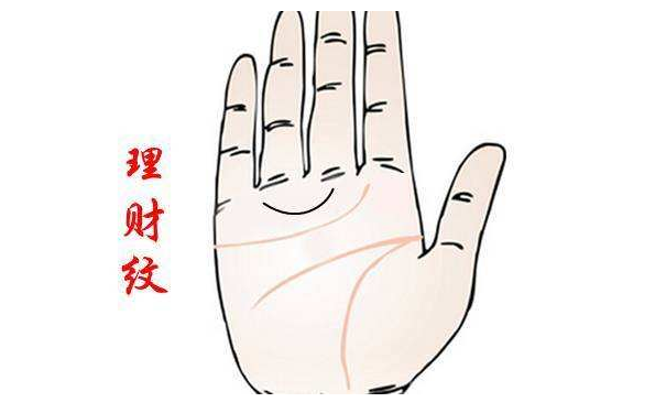 手掌纹路图解中的理财纹看的财运