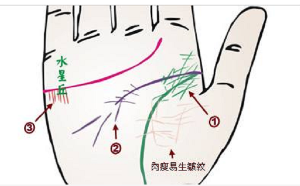 财运线是哪一条？财运线只影响我们的财运吗？