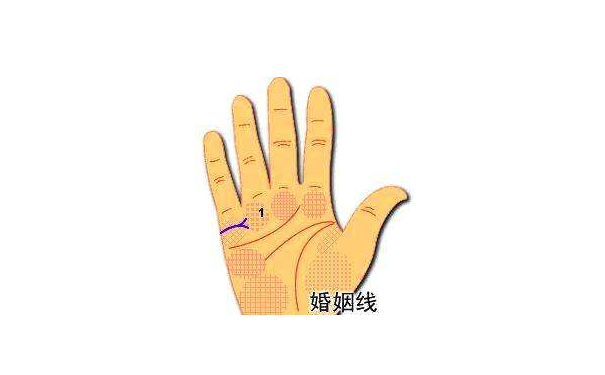 掌纹中的感情线看你的感情运势，如何看掌纹呢