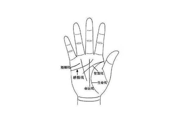 财运线是哪一条？财运线很长的人是不是财运特