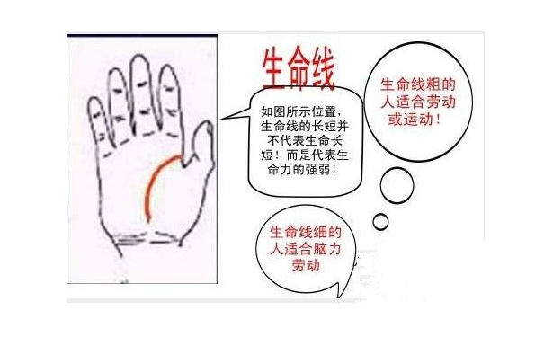 <b>手掌纹路图解中生命线上有横线穿过的人生活易</b>