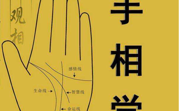 财运线长什么样才算好呢？拥有这样财运线的人