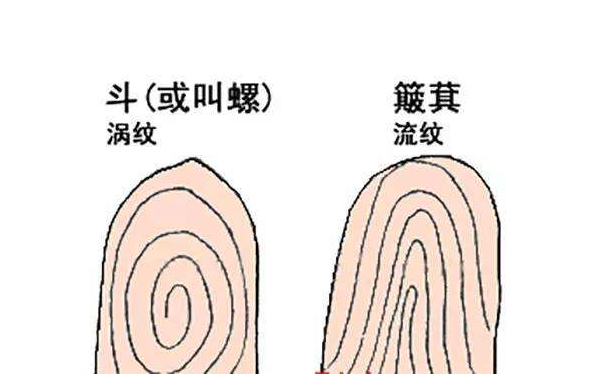 手相图解大全十指全是“斗”的人会是一个什么