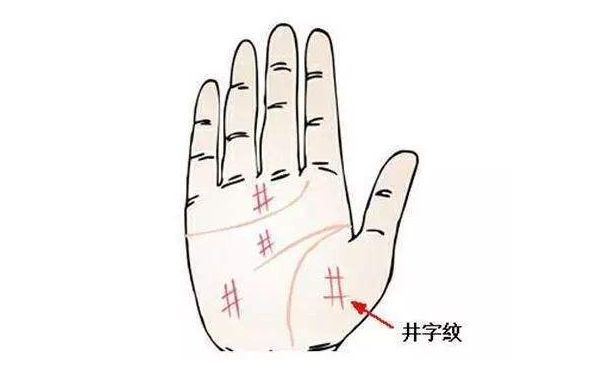 手掌纹路图解中的“井字纹”
