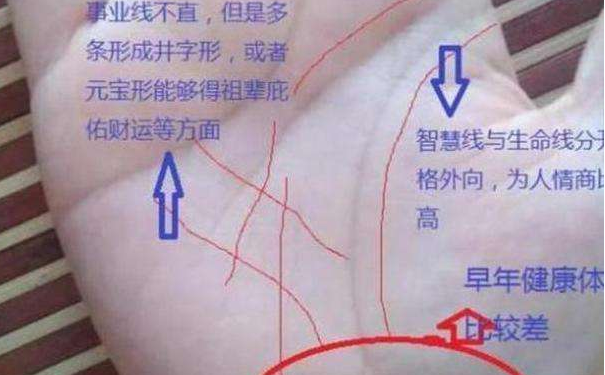 财运线是什么？没有财运线怎么办？