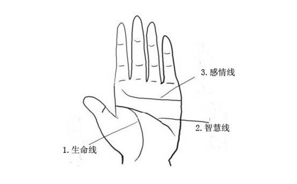 手相图解大全理智线流年测算法