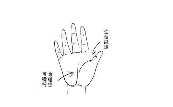 手相图解大全通过生命线的颜色看身体健康情况
