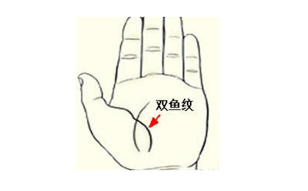 小指旁边的短线你知道是什么吗?财运线在无名指