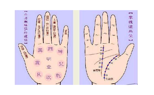 财运线越长越好?财运线过长是不好的手相