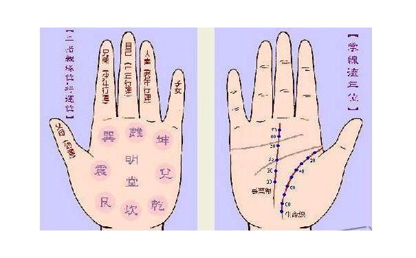財運線越長越好 財運線過長是不好的手相 98手相網