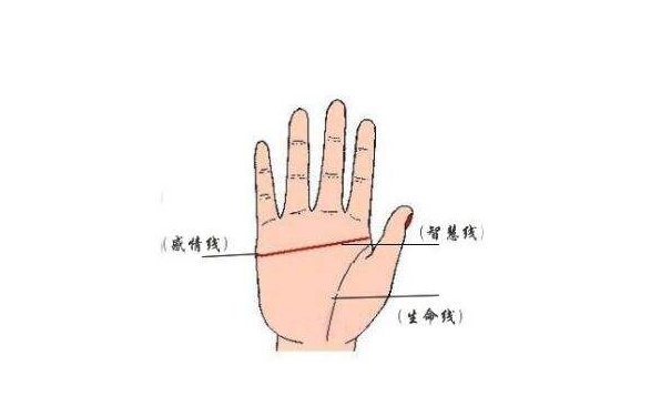 男人假断掌手相图解