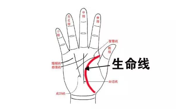 早死的手相,你了解吗?