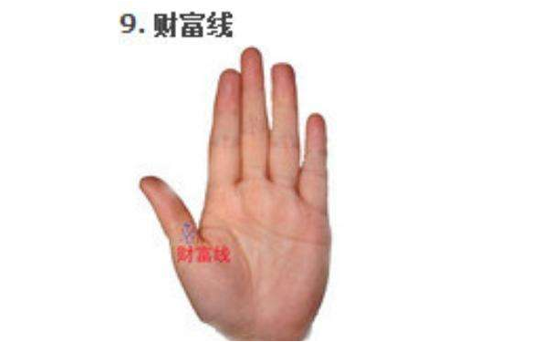 教你如何看手相的财富线