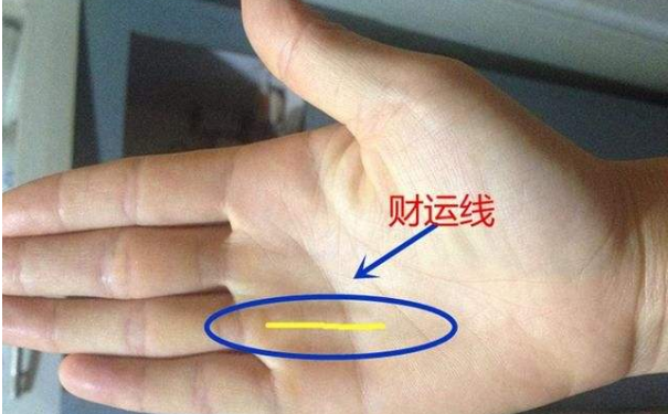 财运线到底在哪?财运线在无名指下方,这回你明白