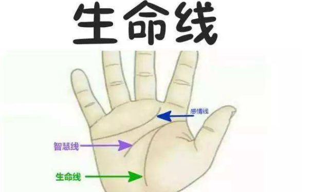 如何看手相算命知道一个人寿命的长短呢?有以下