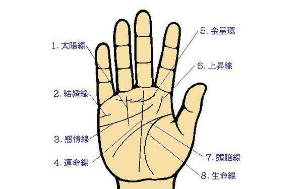 手相掌纹算命中这八种掌纹你应该了解一下