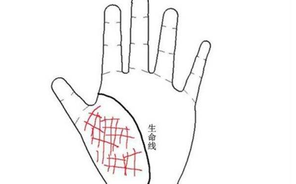 简单粗暴,教你快速看手相