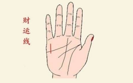 财运的手相长什么样