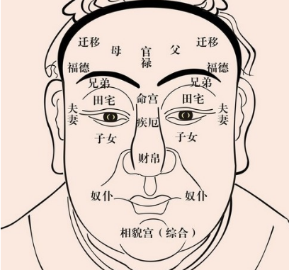 怎么看面相算命图解