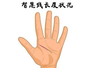 手纹智慧线，你够聪明吗