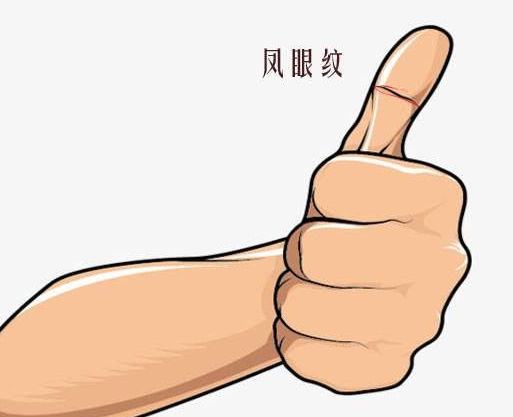 手掌纹之凤眼纹解析